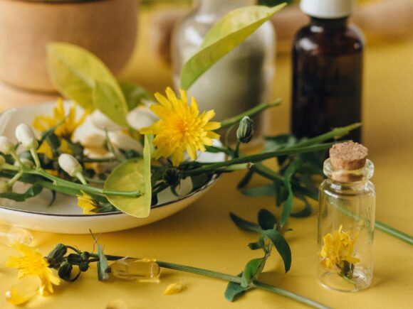 Tıbbi ve Aromatik Bitkiler