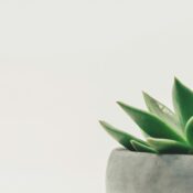 scott webb hDyO6rr3kqk unsplash